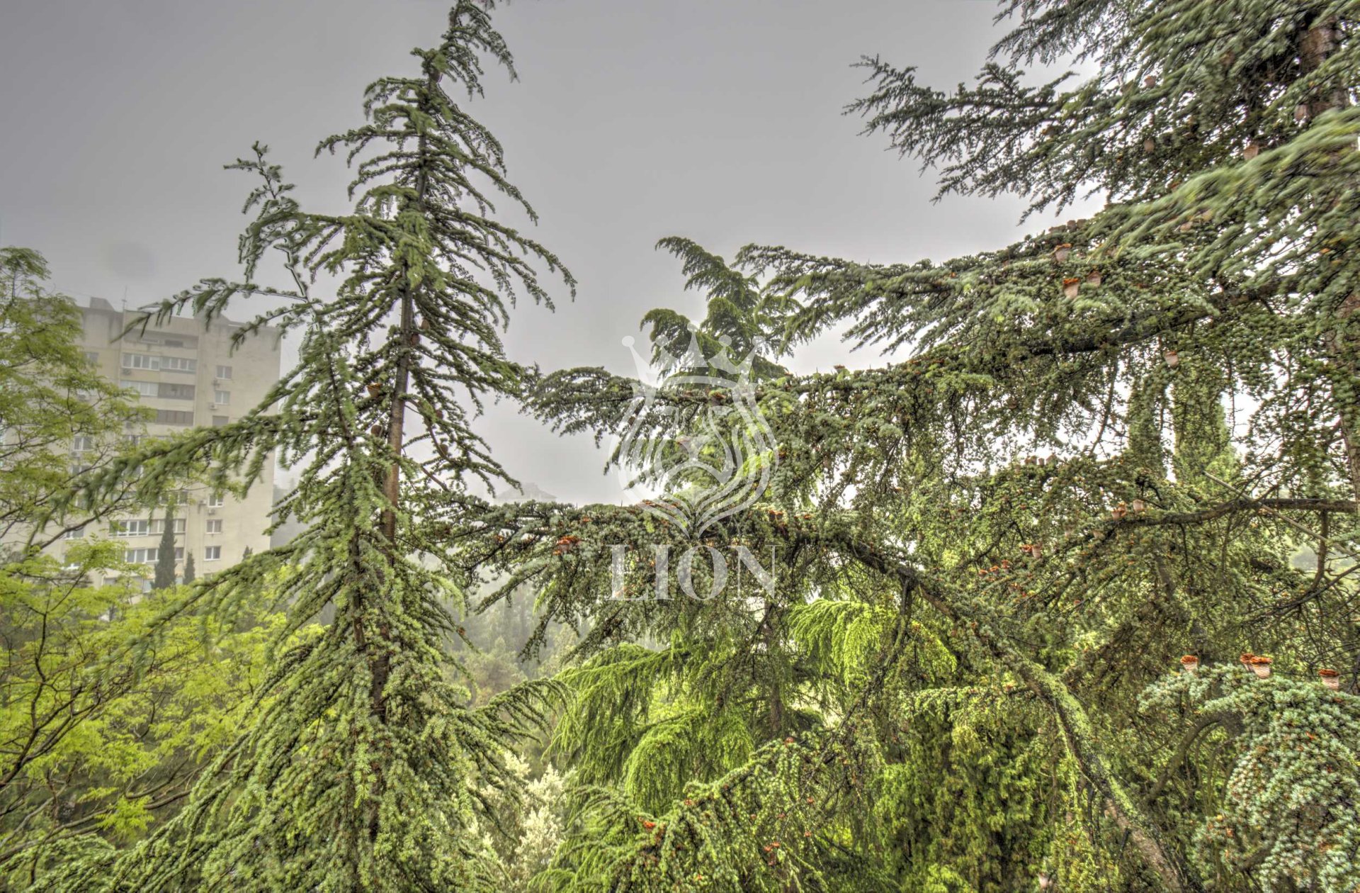 2-к квартира 56 м² 5/5 эт., Фрунзенское шоссе — фото 28