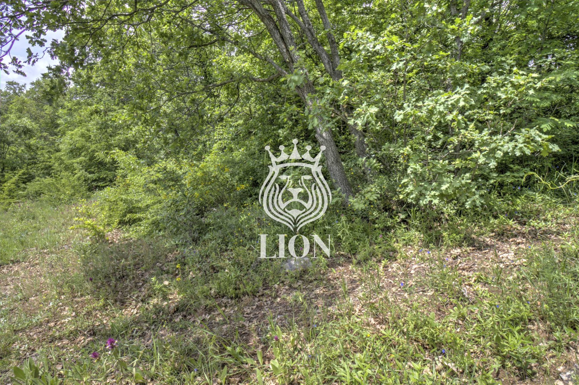 Участок 6 сот. ИЖС, Малый Маяк — фото 7