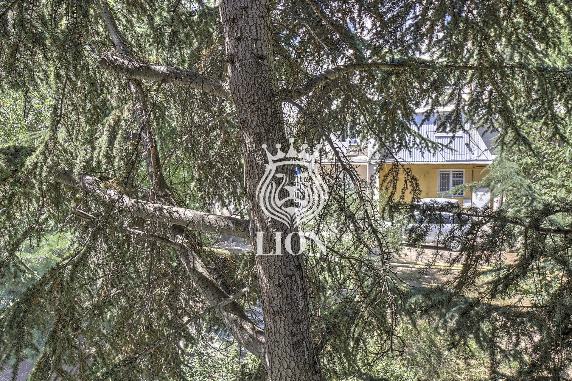 1-к квартира 18.5 м² 3/4 эт., Туристов — фото 15