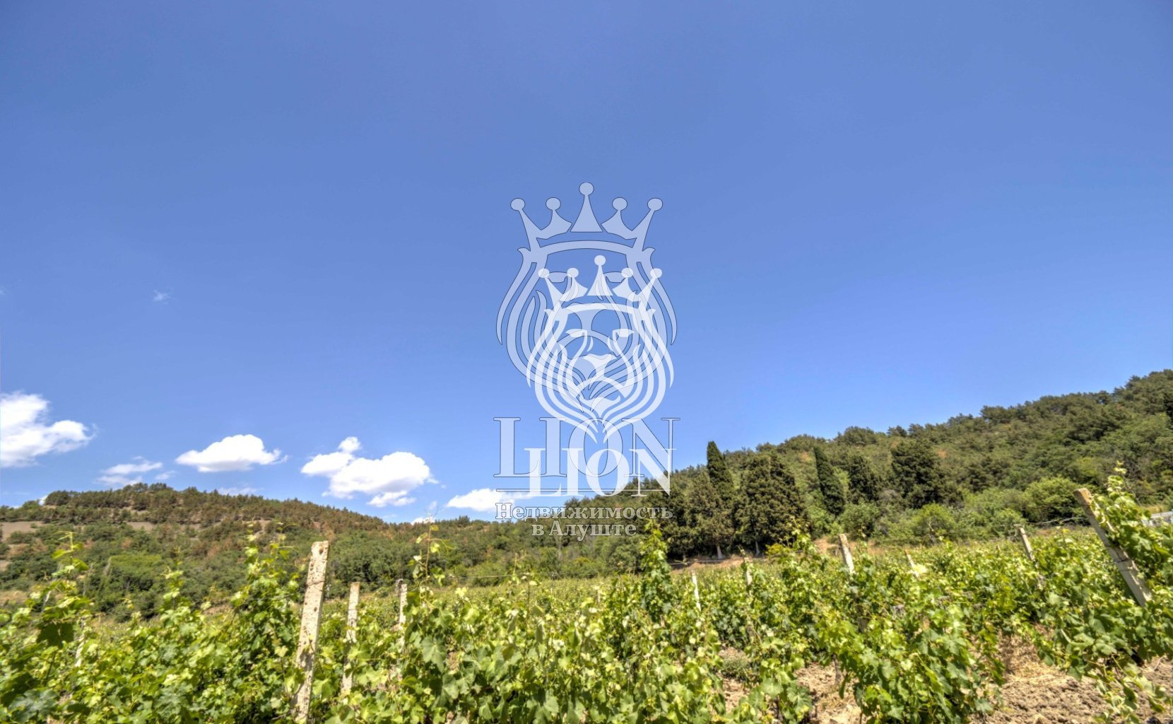 Участок 22 сот. ИЖС, Нижняя Кутузовка — фото 3