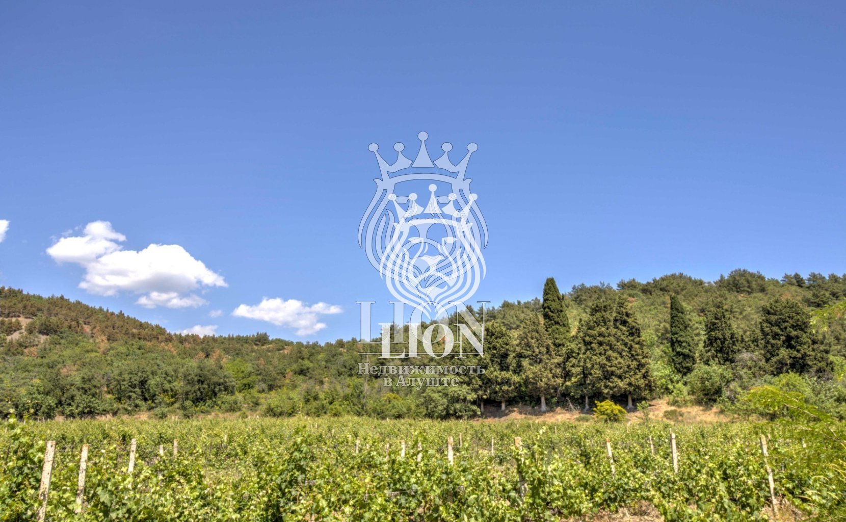 Участок 22 сот. ИЖС, Нижняя Кутузовка — фото 5