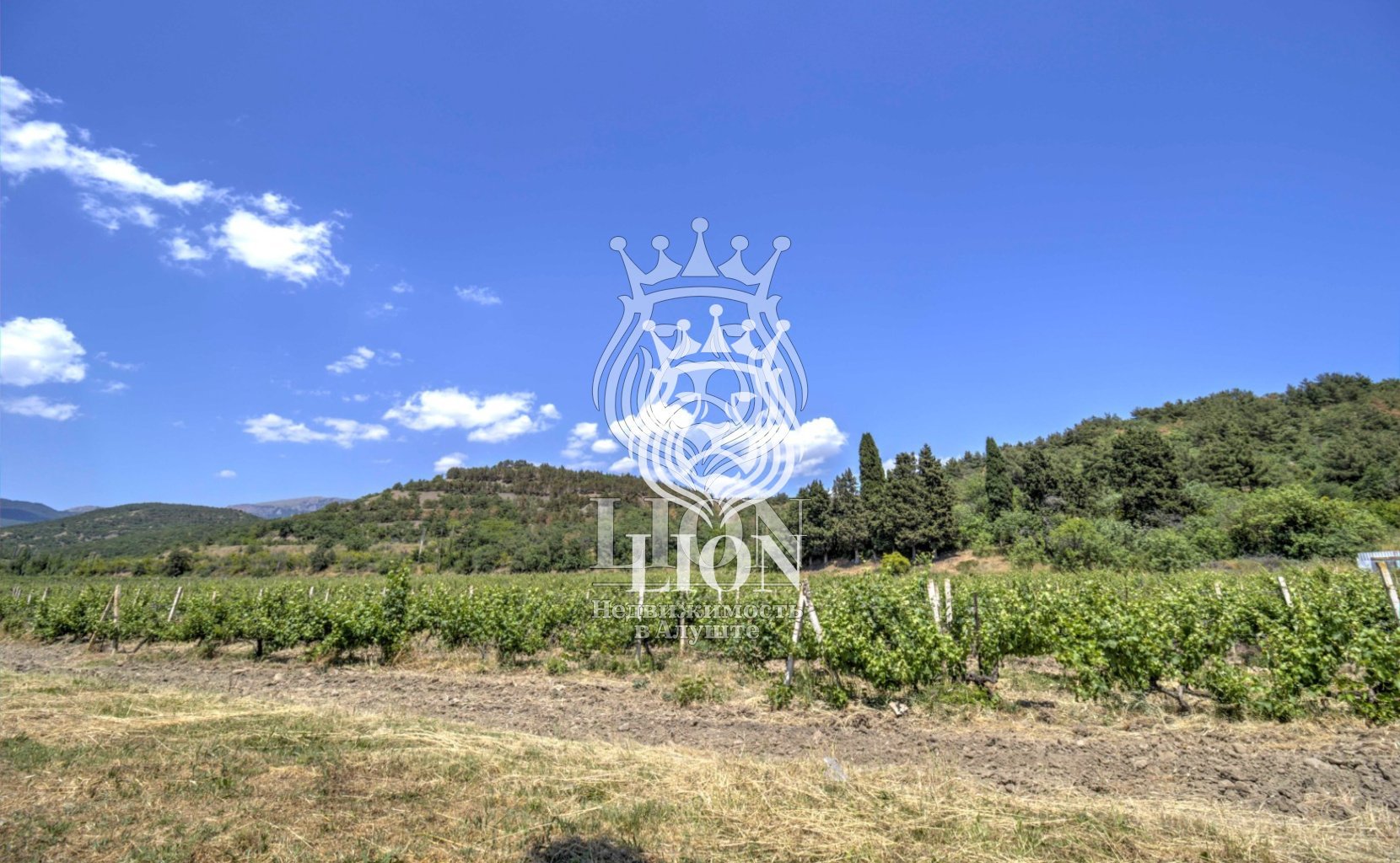 Участок 22 сот. ИЖС, Нижняя Кутузовка — фото 7