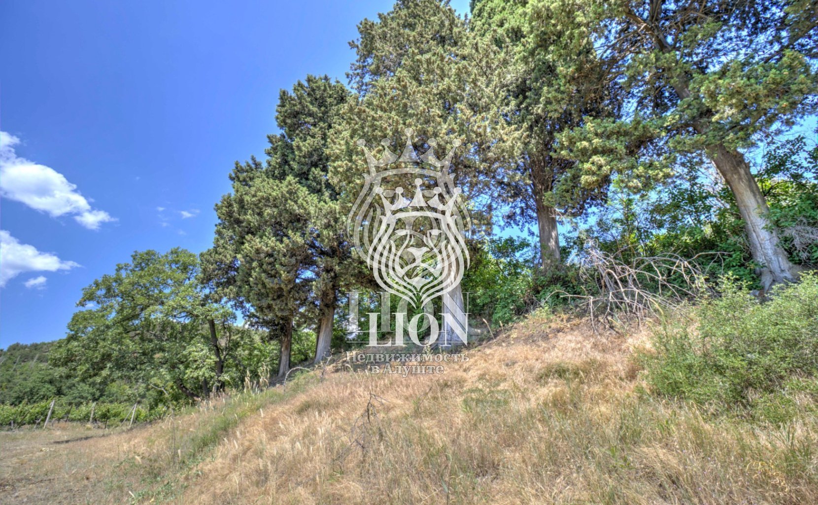 Участок 22 сот. ИЖС, Нижняя Кутузовка — фото 9