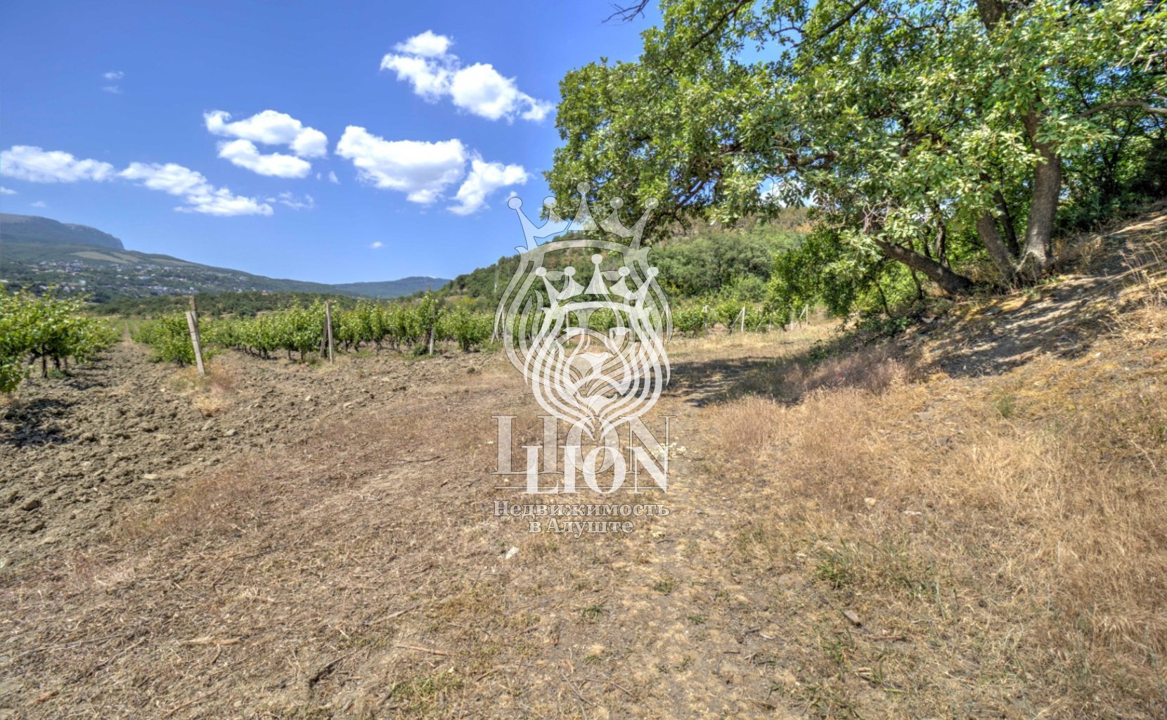 Участок 22 сот. ИЖС, Нижняя Кутузовка — фото 11