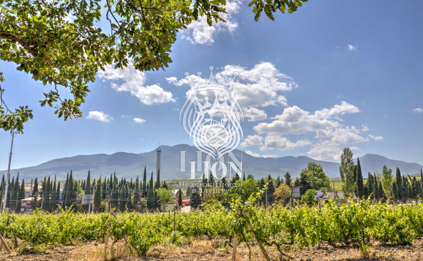 Участок 22 сот. ИЖС, Нижняя Кутузовка — фото 13