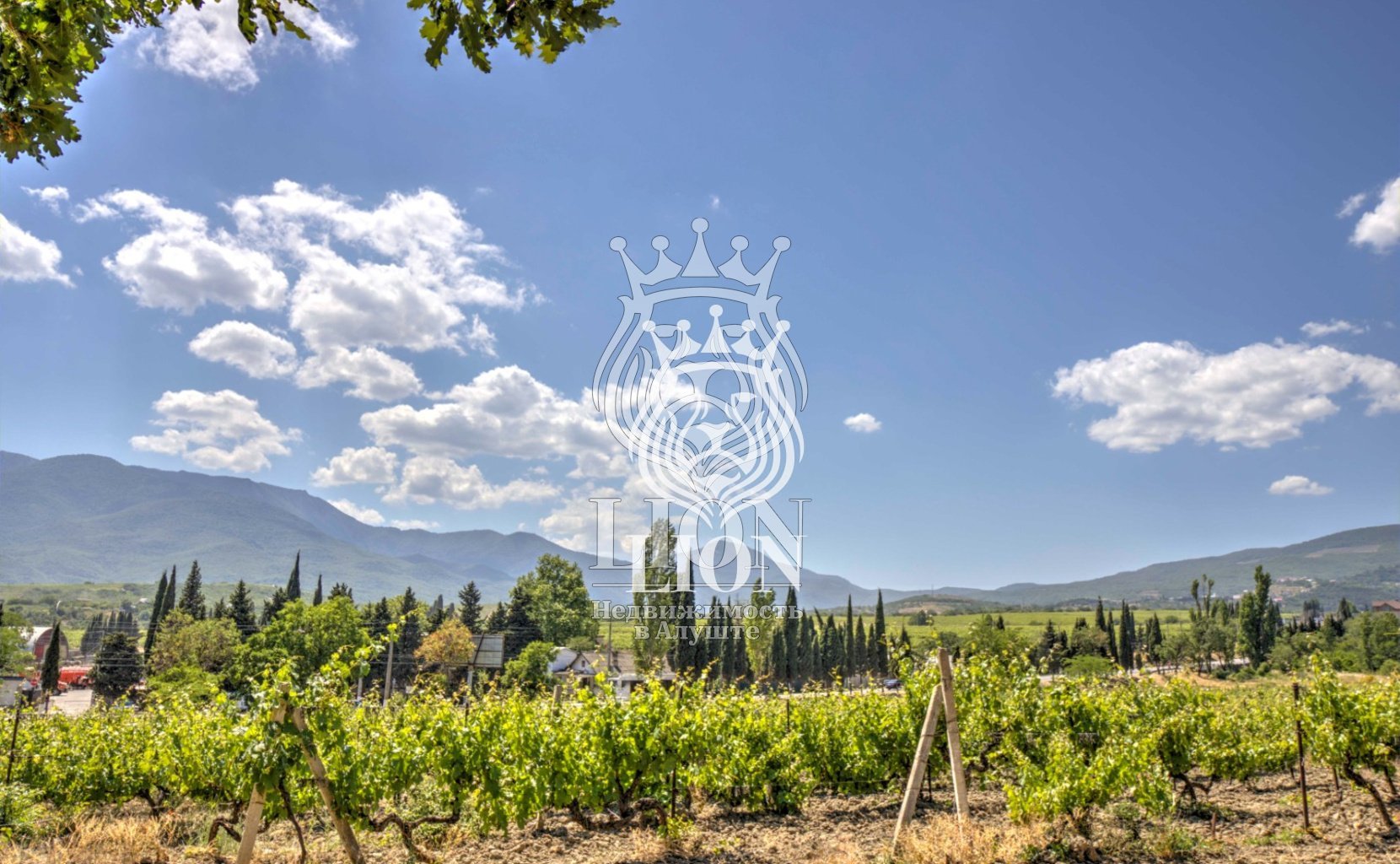 Участок 22 сот. ИЖС, Нижняя Кутузовка — фото 17