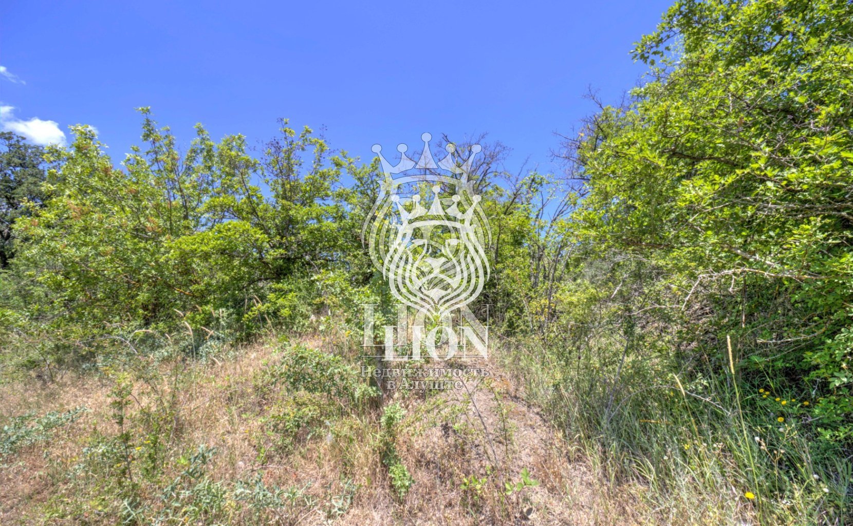 Участок 22 сот. ИЖС, Нижняя Кутузовка — фото 19