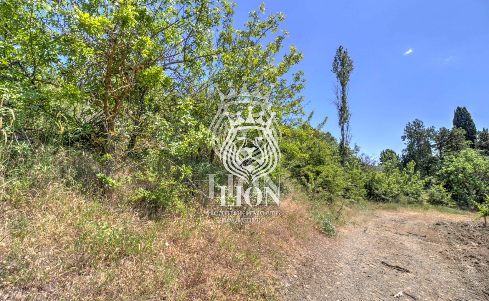 Участок 22 сот. ИЖС, Нижняя Кутузовка — фото 21