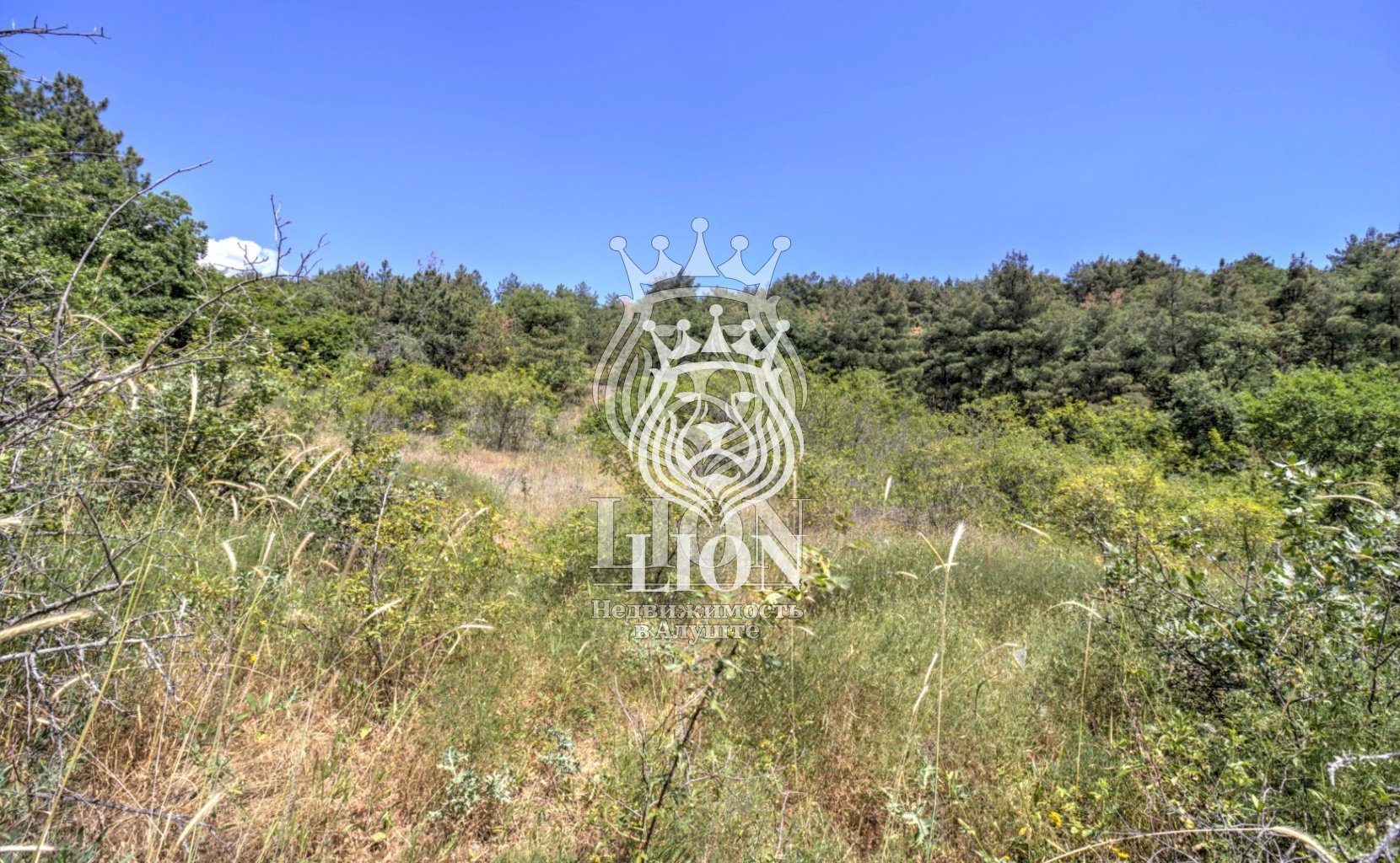 Участок 22 сот. ИЖС, Нижняя Кутузовка — фото 23