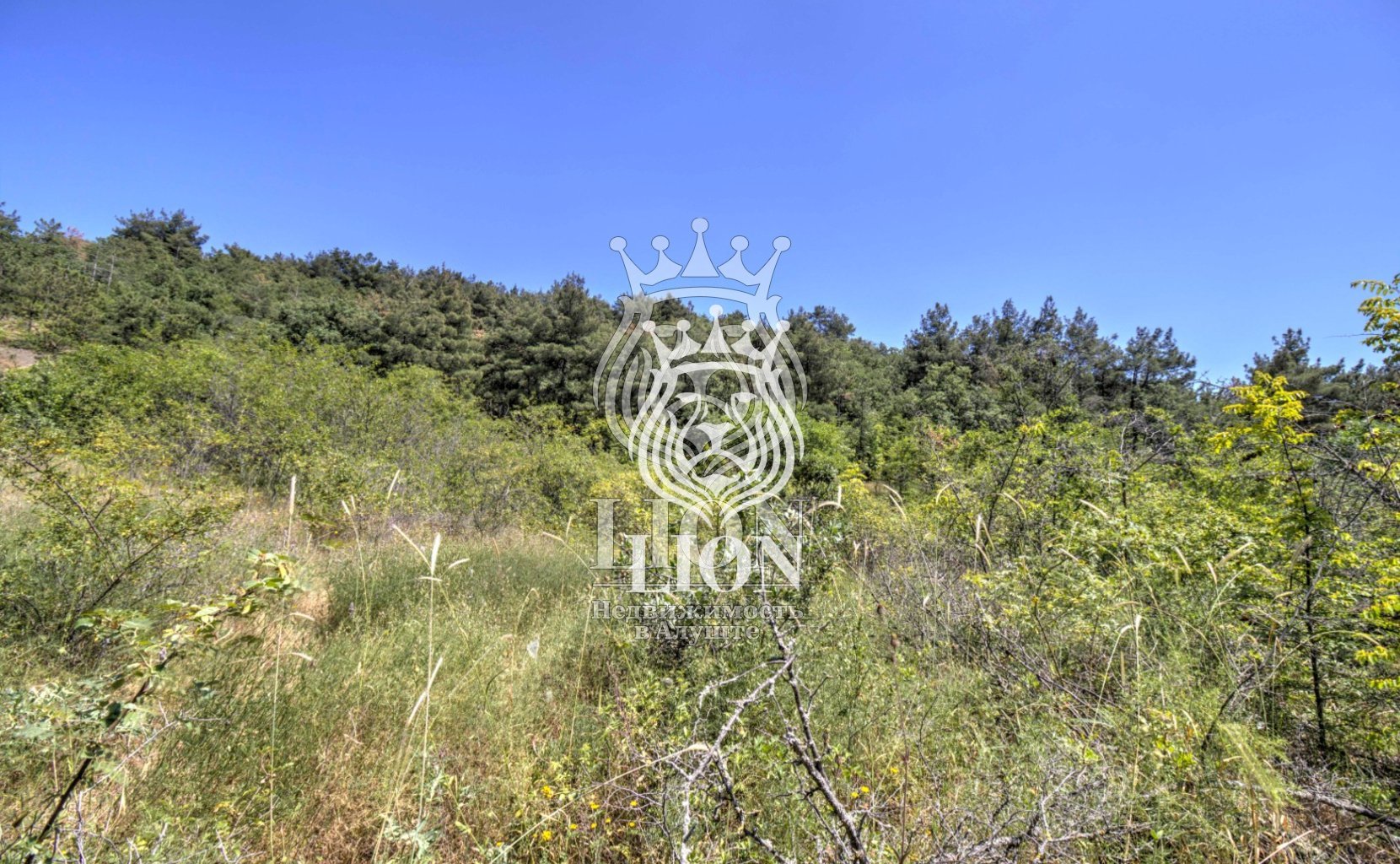 Участок 22 сот. ИЖС, Нижняя Кутузовка — фото 25