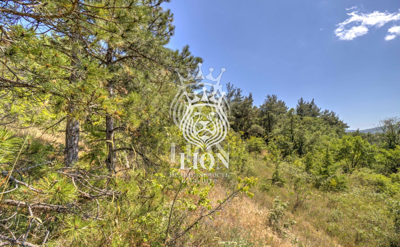 Участок 22 сот. ИЖС, Нижняя Кутузовка — фото 29