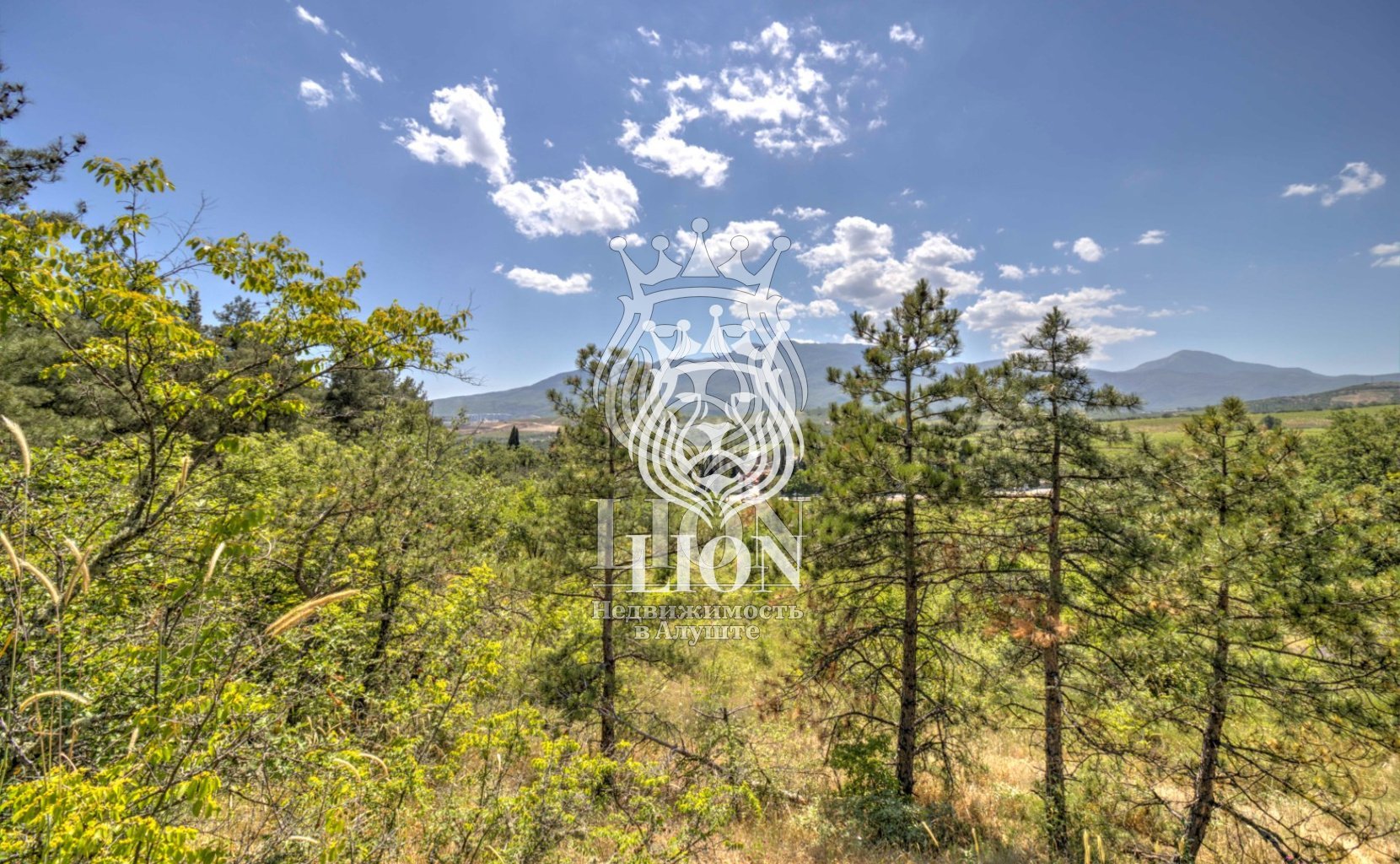 Участок 22 сот. ИЖС, Нижняя Кутузовка — фото 38