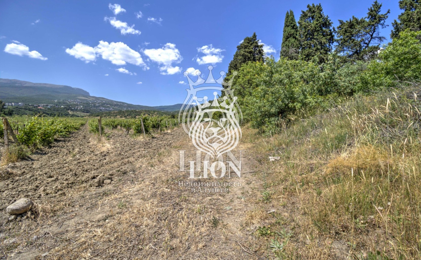 Участок 22 сот. ИЖС, Нижняя Кутузовка — фото 52