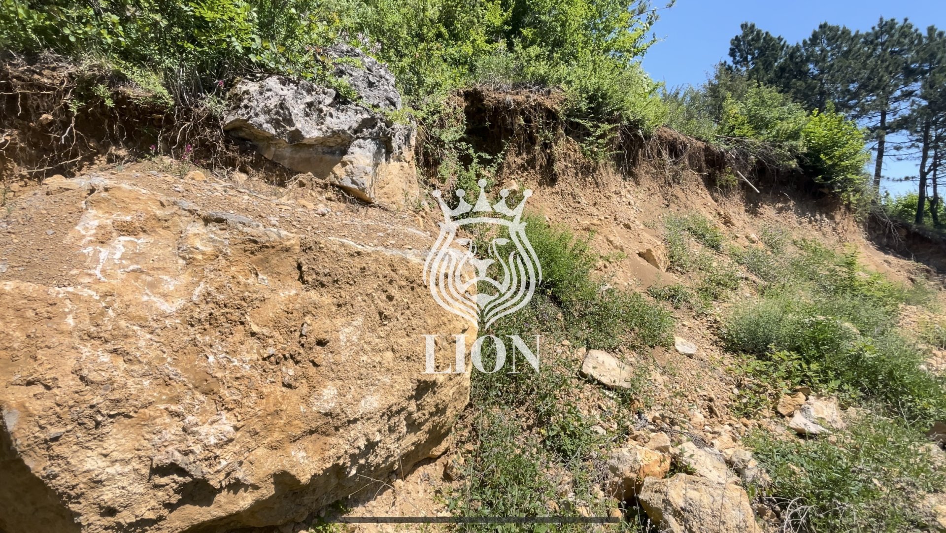 Участок 54 сот. ИЖС, Запрудное — фото 4