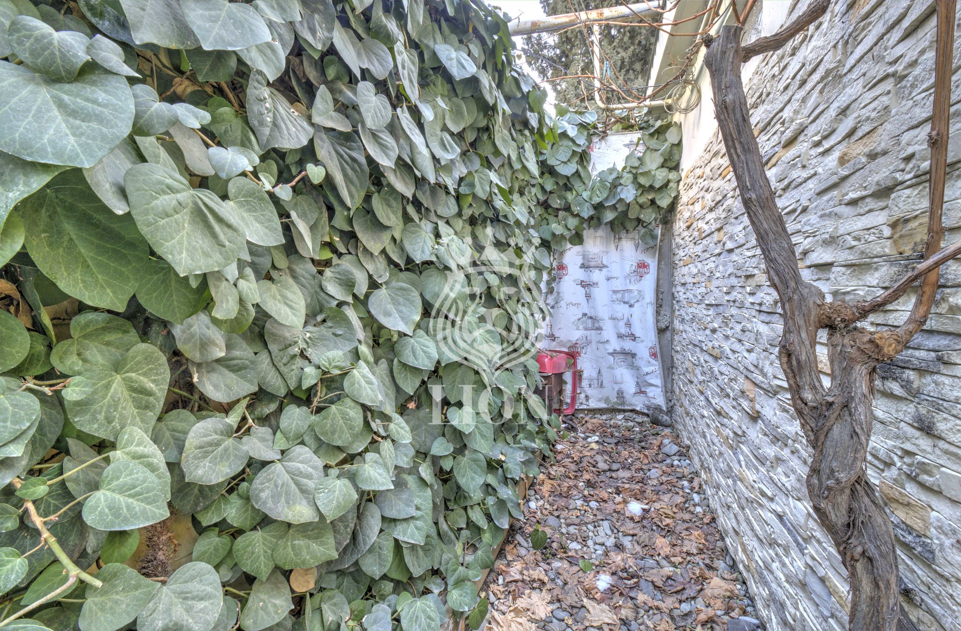 2-к квартира 57 м² 1/2 эт., Пуцатова — фото 34