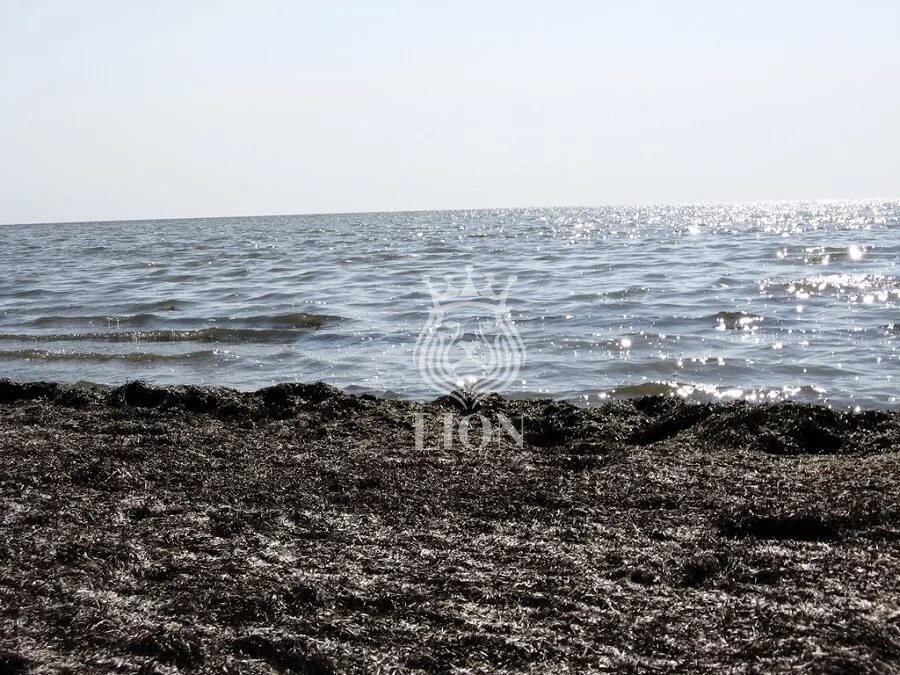 Участок 30 сот. ИЖС, Славное — фото 10