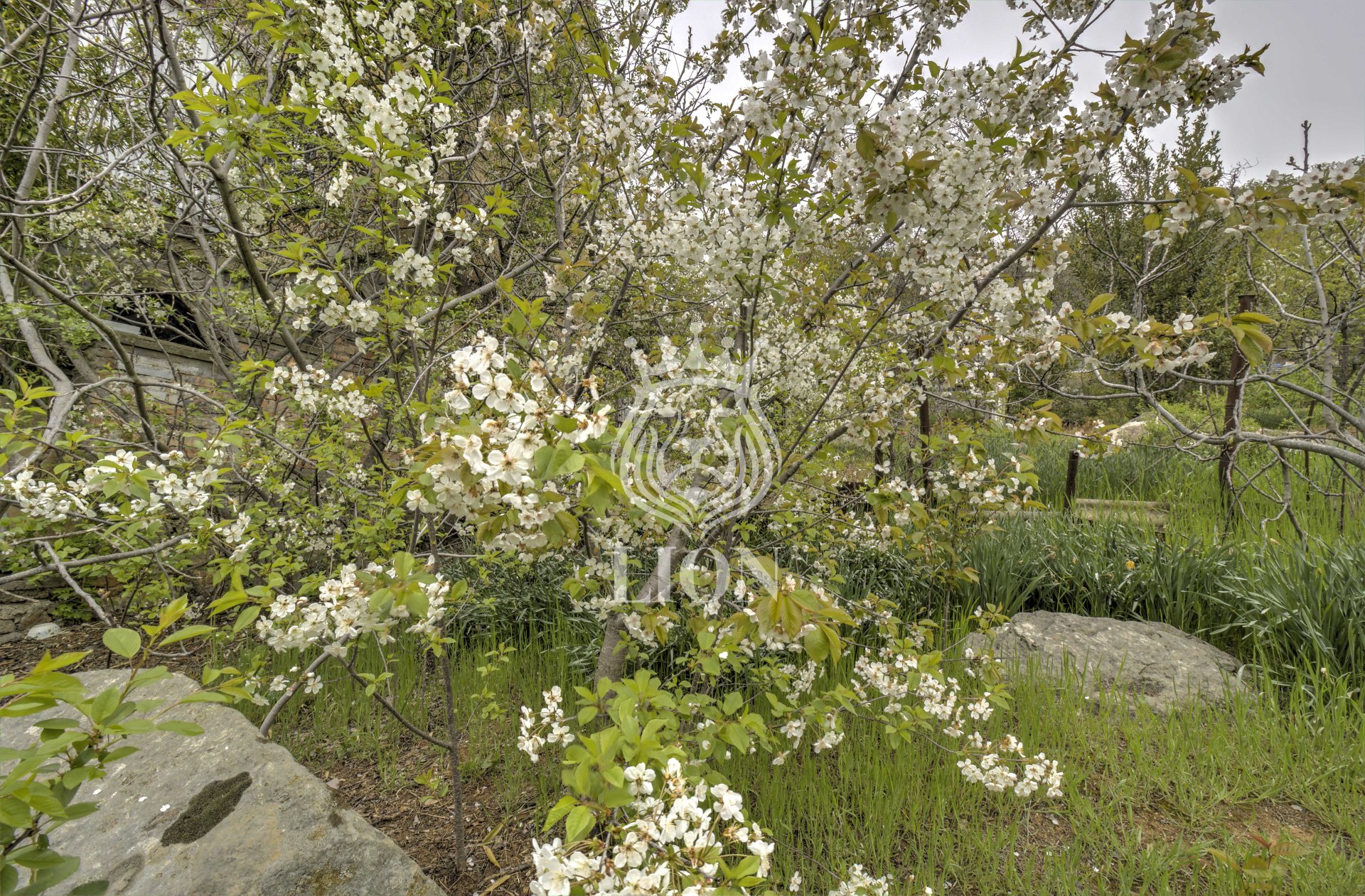 Дом 69.7 м² на 11.28 сот., Малый Маяк — фото 39