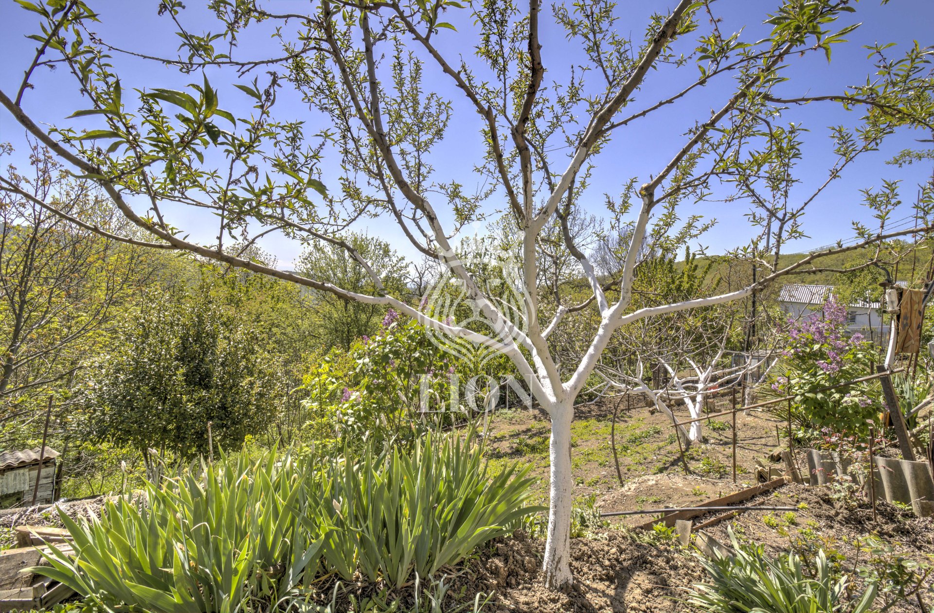 2-к квартира 34.4 м² 1/1 эт., Ленина — фото 19