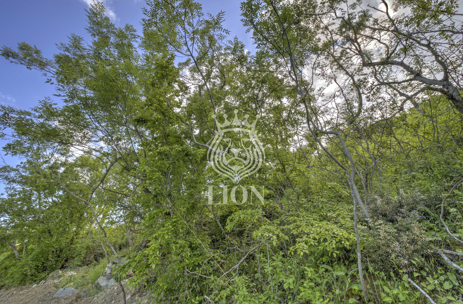 Участок 9 сот. ИЖС, Малый Маяк — фото 7