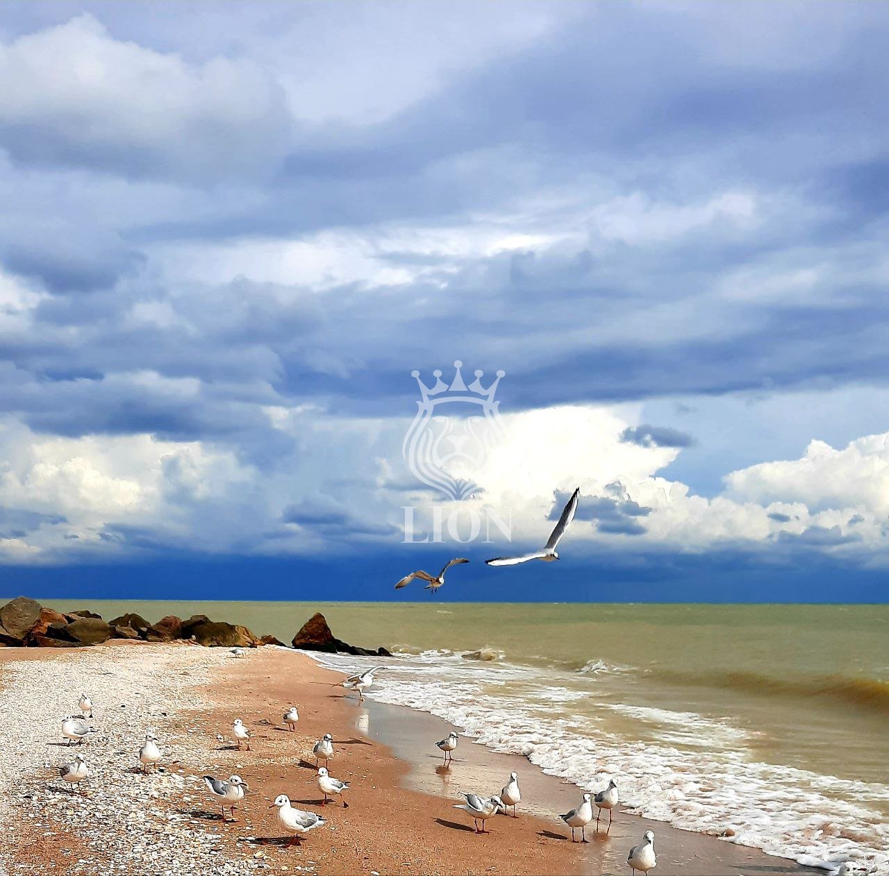 Коммерческая 520 м², Степановка Первая — фото 82