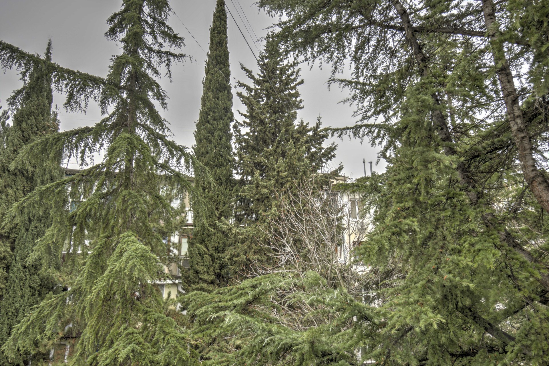 Студия 18 м² 4/4 эт., Туристов