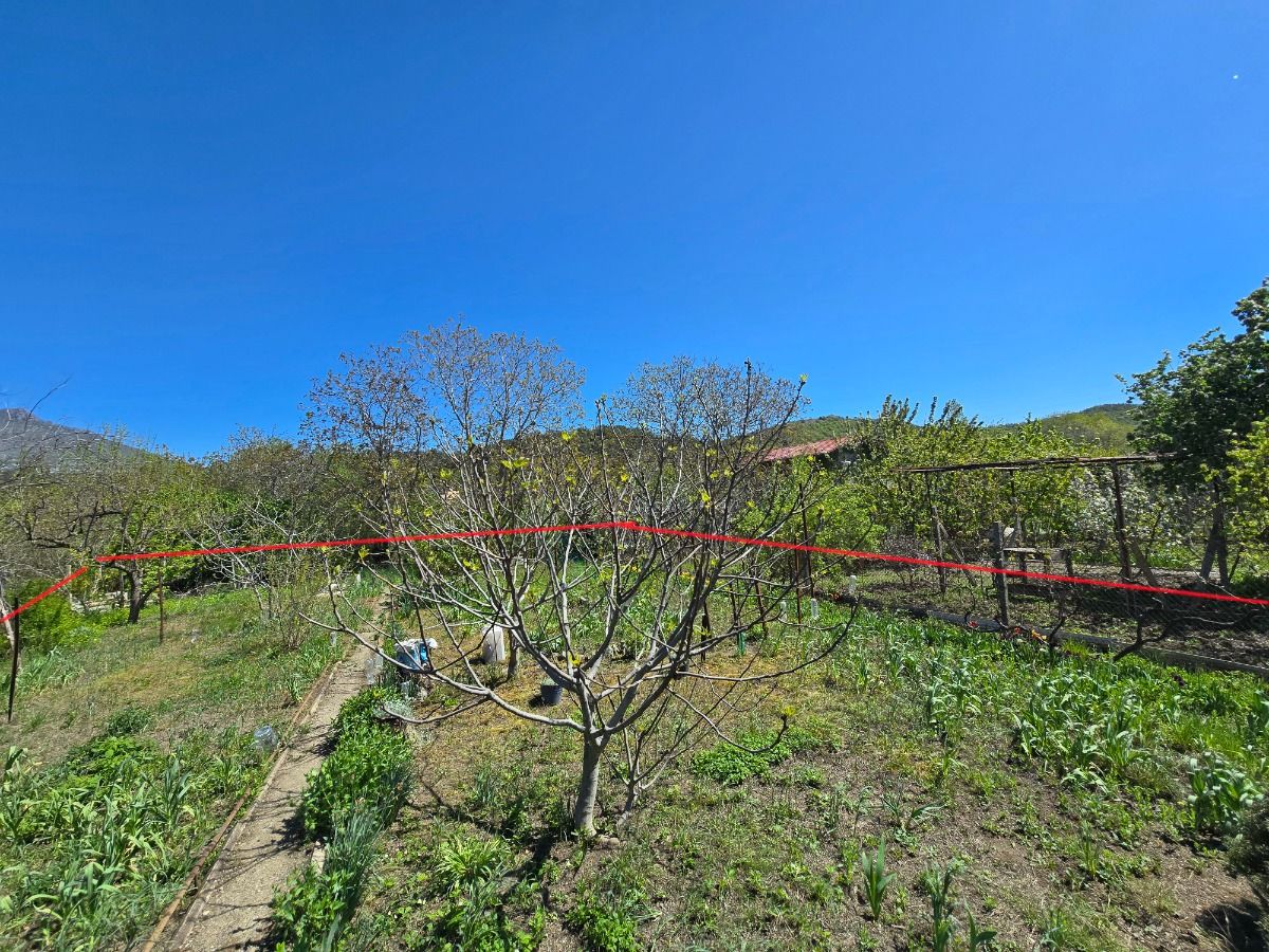 Участок ровный в Оливковой роще 6 соток СНТ (копия)