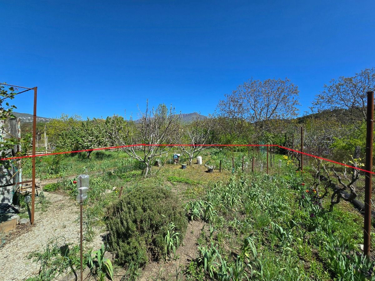 Участок ровный в Оливковой роще 6 соток СНТ (копия)