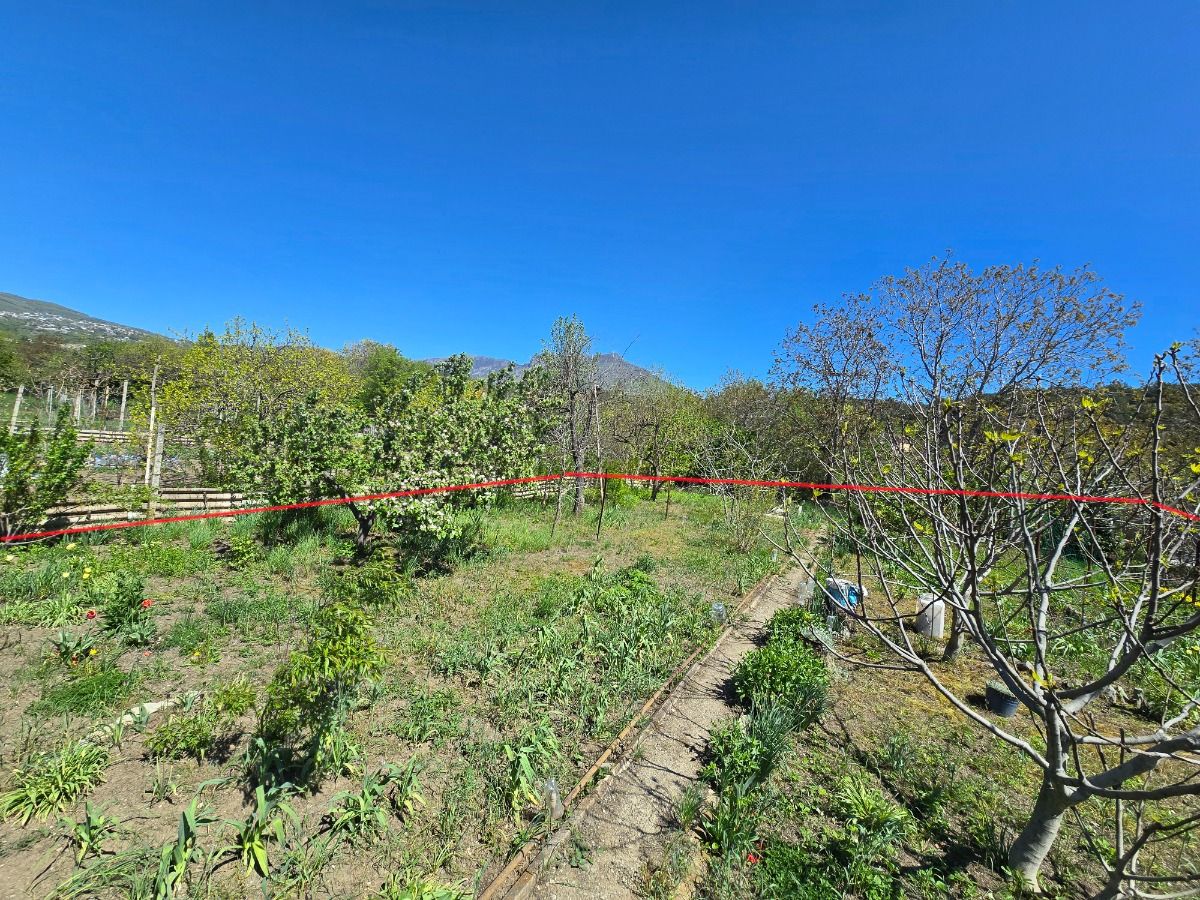 Участок ровный в Оливковой роще 6 соток СНТ (копия)