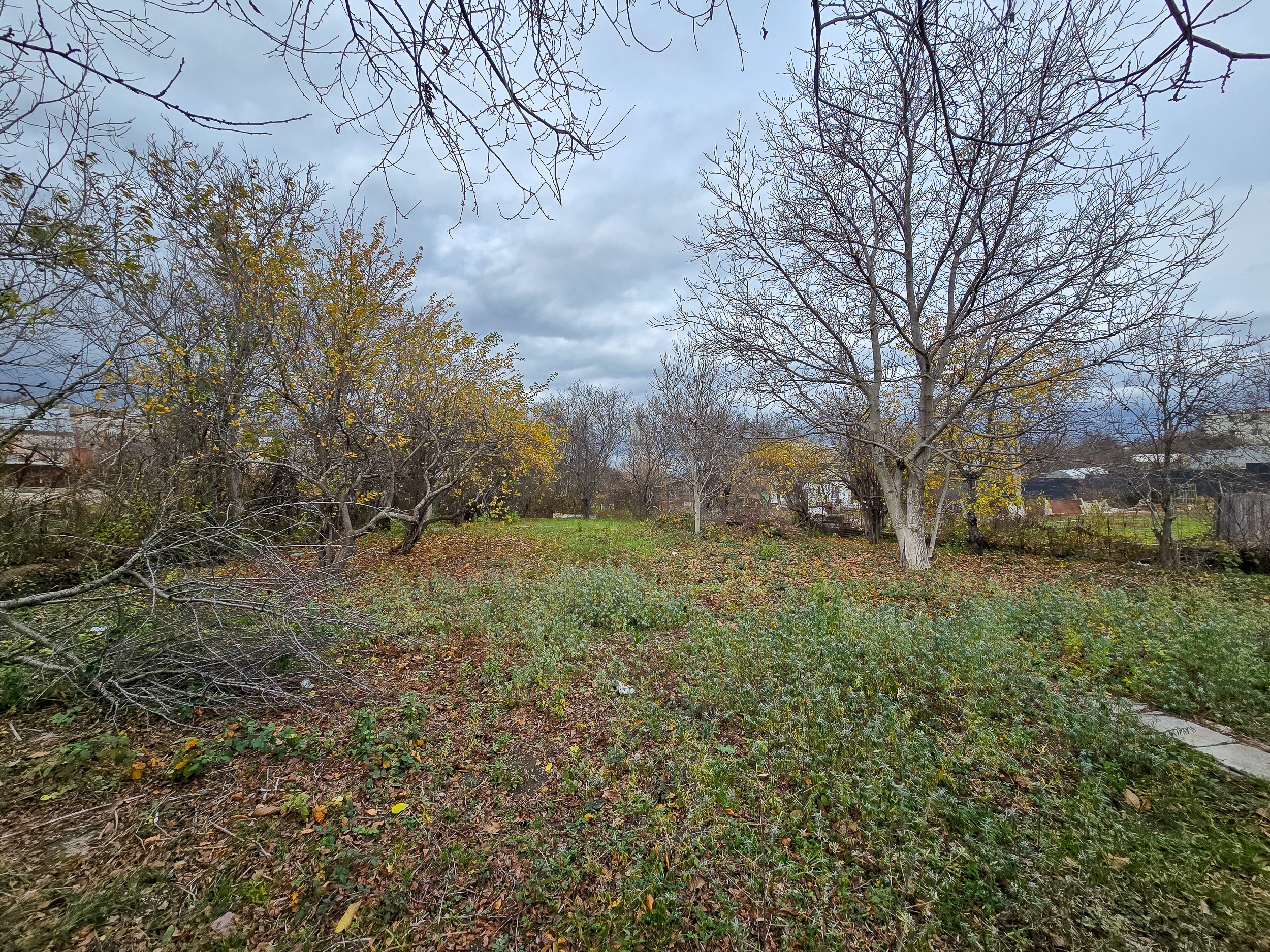 Обзорная карта участка